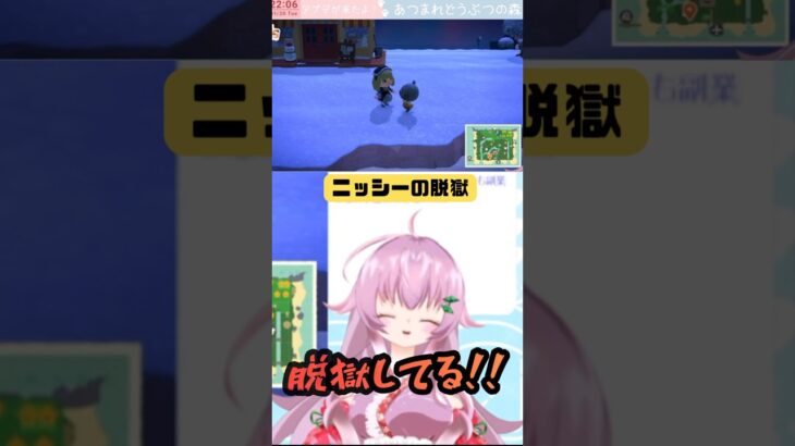 【あつ森】ニッシーと出会った #shorts #あつまれどうぶつの森 #あつ森 #島クリエイト