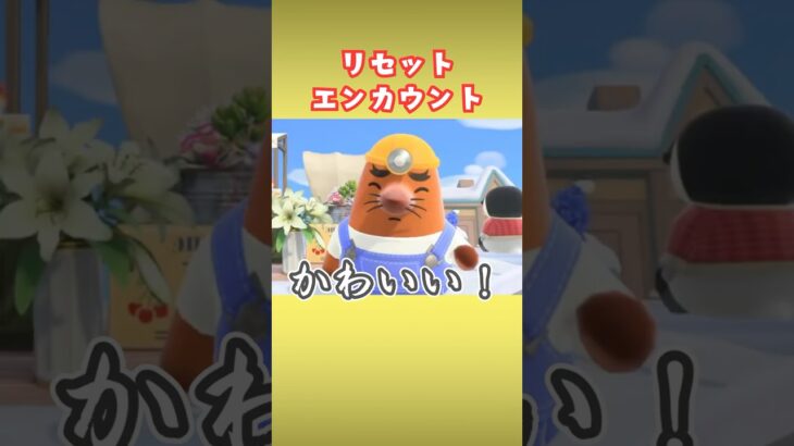 【大興奮】初めてみるリセットさんの全員がかわいい【あつ森】#shorts #あつ森