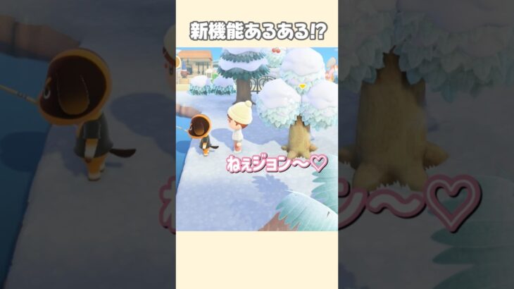 これは皆んなやった事あるのでは？【あつ森】#shorts #はなまこ#あつ森#アプデ