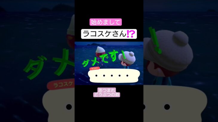 【あつ森】ホタテをあげない もちゃまるさん🎵ラコスケさん！次会った時はもらえたらいいね！#あつ森  #あつまれどうぶつの森  #どうぶつの森  #shorts  #切り抜き  #もちゃまる