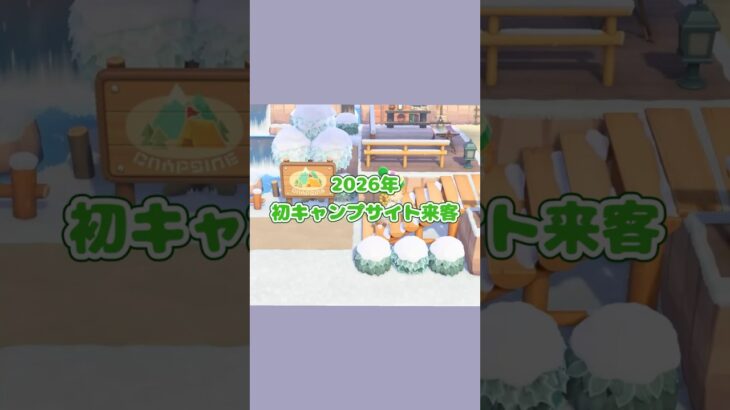 新年初キャンパー🏕️#あつ森 #shorts