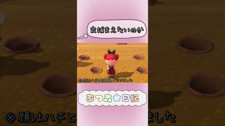 【虫取り】お茶目なティーナが可愛い　#あつ森日記 #shorts #あつ森 #あつまれどうぶつの森