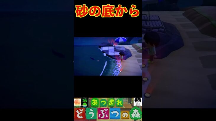 砂の底から #あつまれどうぶつの森 #shorts #あつ森