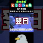 雪国育ちのあつ森初!雪だるま作り! あつ森初見プレイ#shorts #あつ森 #あつまれどうぶつの森