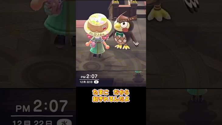 【あつ森】≪ゲートを開くと≫　ヤキモチ妬いちゃう　　　　　　　　　　　　　　#shorts　 #ゆっくり実況　 #あつまれどうぶつの森