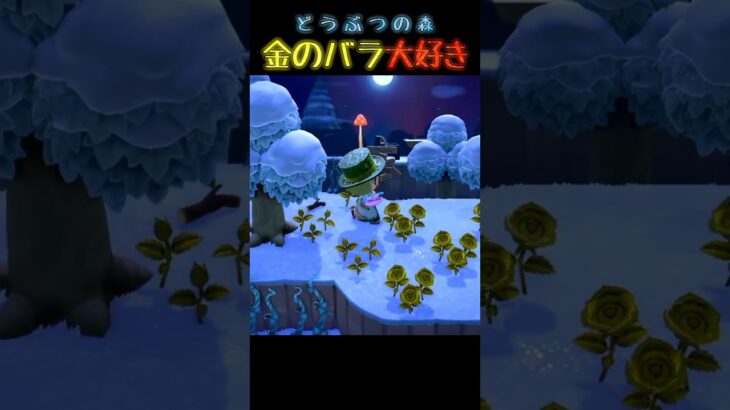 #あつ森 #あつまれどうぶつの森 #ゲーム実況 #切り抜き #shorts #おもしろ動画