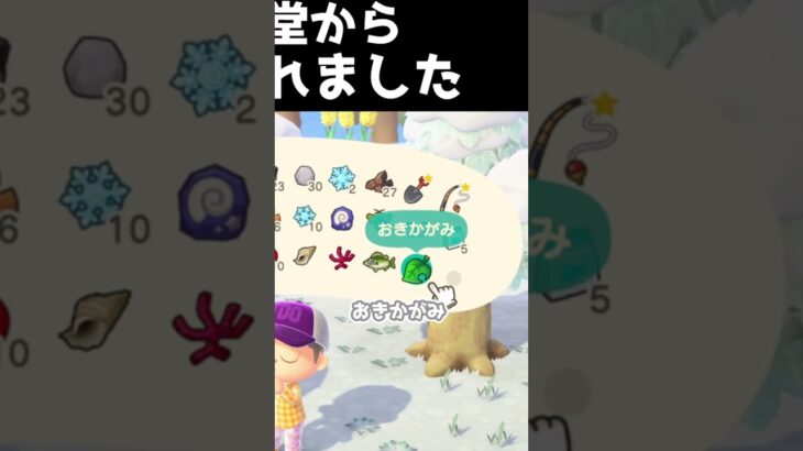 これは意地悪 #shorts #あつ森 #あつまれどうぶつの森