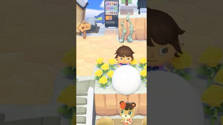 【あつ森】メイちゃんに大きな雪玉を落としてみた。　#shorts #あつ森