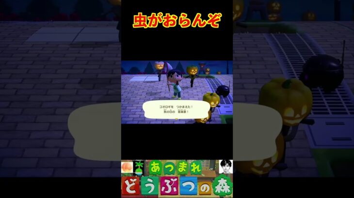 虫がおらんぞ #あつまれどうぶつの森 #shorts #あつ森