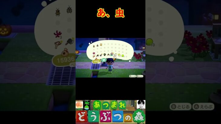 あ、虫 #あつまれどうぶつの森 #shorts #あつ森