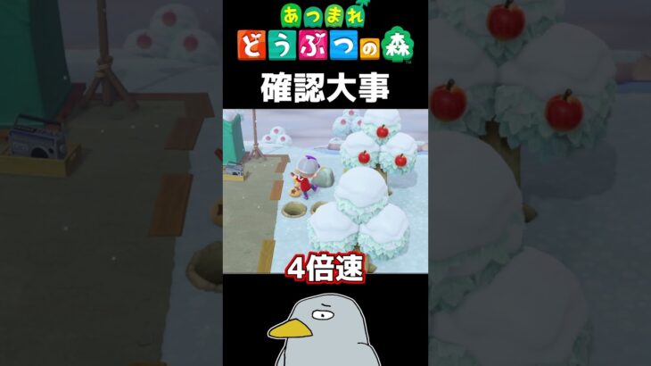 確認大事絶対 #shorts #あつ森 #あつまれどうぶつの森