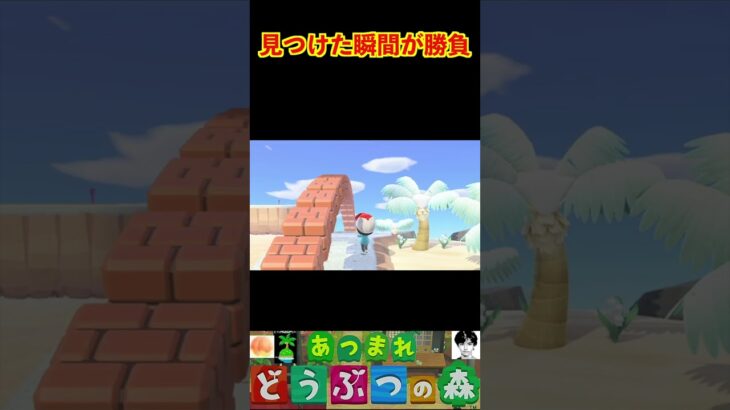 見つけた瞬間が勝負 #あつまれどうぶつの森 #shorts #あつ森