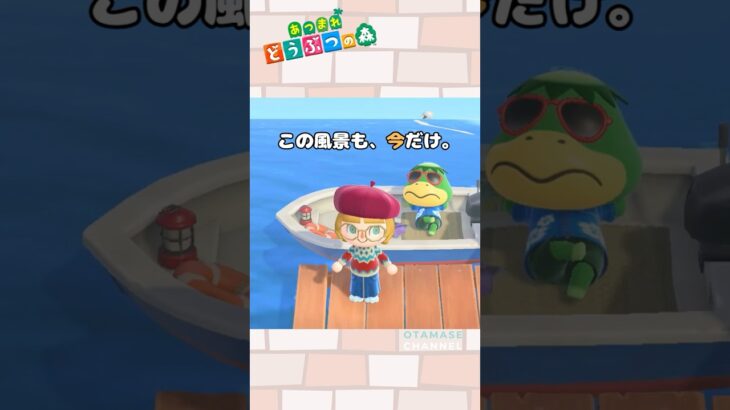 【あつ森小ネタ】アップデートの前なんだけどね#shorts  #あつ森 #あつまれどうぶつの森