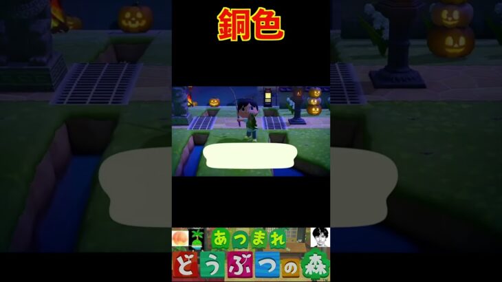 銅色 #あつまれどうぶつの森 #shorts #あつ森