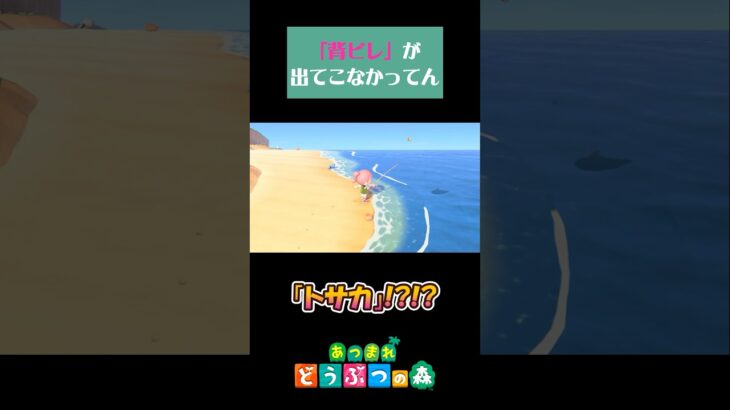 【あつ森】最近言葉が全然出てこないのよ…#shorts