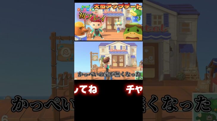 かっぺいリゾートホテル完成！新キャラ大量発生！【あつ森】【あつまれどうぶつの森】 #あつ森 #あつまれどうぶつの森 #どうぶつの森 #ゲーム実況 #ゲーム #shorts
