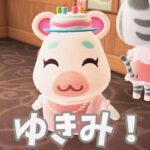 【あつ森】１月のバースデーガールは・・！！ #あつ森 #あつまれどうぶつの森#shorts