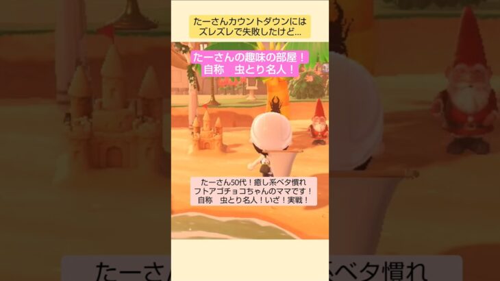 【あつ森】自称 虫とり名人🤣💕@たーさんの趣味の部屋 #たーさん昆虫記#shorts