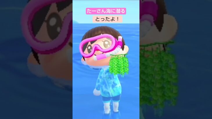 【あつ森】ウミブドウとったよ@たーさんの趣味の部屋 #たーさん海に潜る#shorts