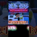 タラちゃんの行動は予測不能だね【あつ森】【あつまれどうぶつの森】#あつ森 #あつまれどうぶつの森 #どうぶつの森 #ゲーム実況 #ゲーム #shorts