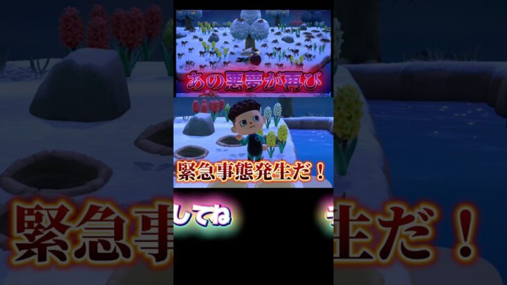 タラちゃんの行動は予測不能だね【あつ森】【あつまれどうぶつの森】#あつ森 #あつまれどうぶつの森 #どうぶつの森 #ゲーム実況 #ゲーム #shorts