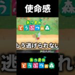 てりーぬがあつもりをやる理由 #あつ森    #shorts