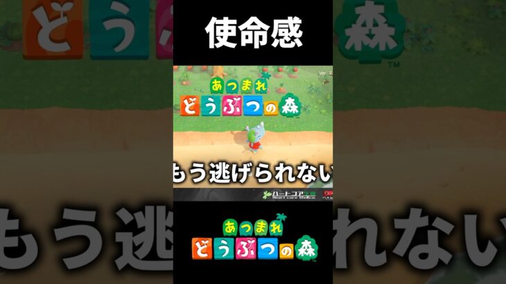 てりーぬがあつもりをやる理由 #あつ森    #shorts