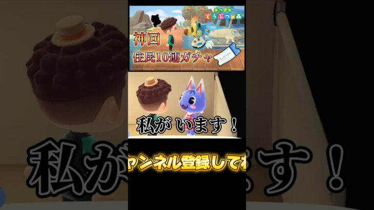 素晴らしい出会いを大切に【あつ森】【あつまれどうぶつの森】 #あつ森 #あつまれどうぶつの森 #どうぶつの森 #ゲーム実況 #ゲーム #shorts