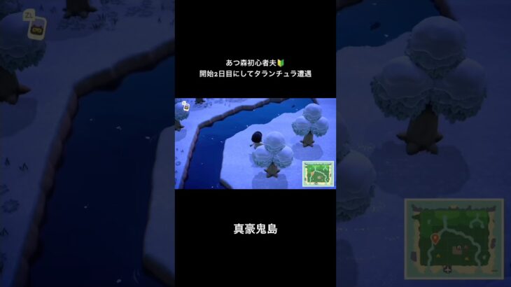 こんな簡単に捕まえられたっけ😱#あつ森 #あつまれどうぶつの森 #夫婦配信 #shorts