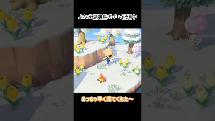 感動の出会いと思いきや…？ #あつ森 #shorts