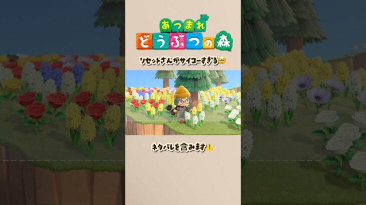 リセットさん最高すぎる #あつ森 #あつまれどうぶつの森 #shorts