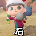 【あつ森】なぜか石が釣れた。。 #あつ森 #あつまれどうぶつの森#shorts