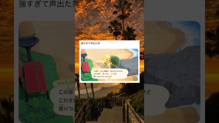 強すぎどうぶつの森 #あつ森 #shorts