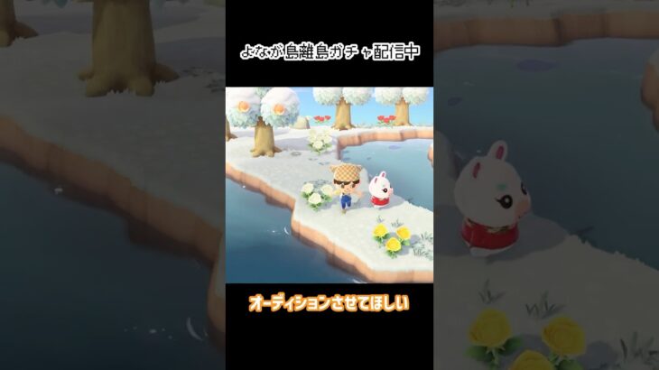 離島オーディション  #あつ森 #shorts