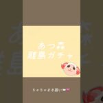 #あつ森 #離島ガチャ  #shorts