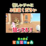 クリスチーヌをナンパするワニ🐊あつ森#shorts