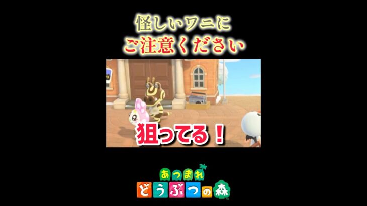 クリスチーヌをナンパするワニ🐊あつ森#shorts