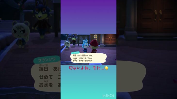 フランソワを凹ませたいジュン😅 #あつ森 #あつまれどうぶつの森 #shorts #animalcrossing #gaming #ジュン #フランソワ #ジェシカ