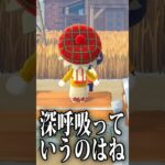 【あつ森】わんりり島に来てはいけない理由【切り抜き】#shorts #あつまれどうぶつの森 #あつ森  #切り抜き #vtuber