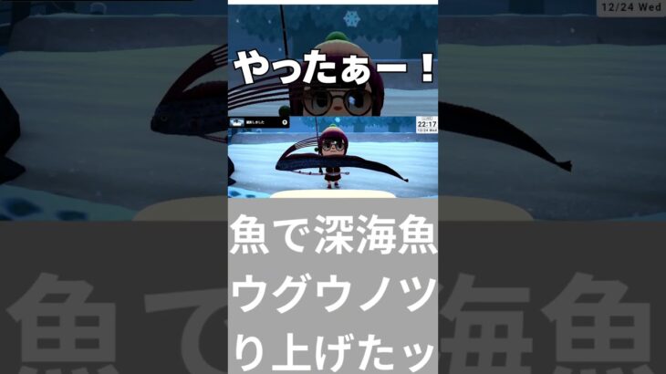 超レア魚 リュウグウノツカイを釣った！値段は？！【あつ森】【興奮】#shorts #どうぶつの森 #vtuber #animalcrossing