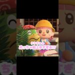 ラコスケとおじいちゃんの絵もあるんだけど…？！？！#あつ森 #どうぶつの森 #あつまれどうぶつの森 #どう森 #shortvideo #shorts #short #あつ森ホテル