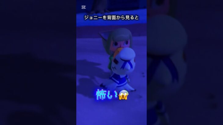 #あつ森 ジョニーを背面から見ると・・・#恐怖 #sorts