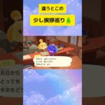 明けましておめでとうございます🌅　 #switch #あつ森 #2026