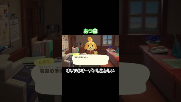 正式オープン　#あつ森 #あつまれどうぶつの森 #あつ森switch #switch #nintendo