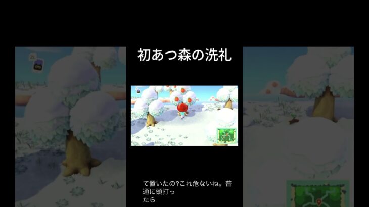 アネッサさん #あつまれどうぶつの森 #あつ森 #switch2