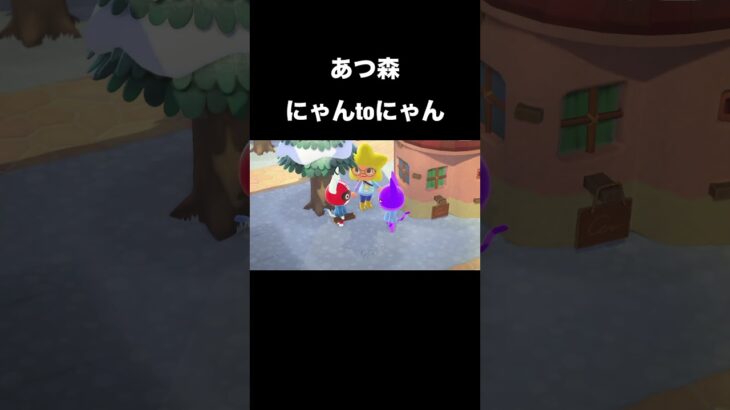 【あつ森】にゃんtoにゃん