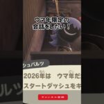 🐎ウマ年限定の会話がしたい！【あつ森】@ほのげ