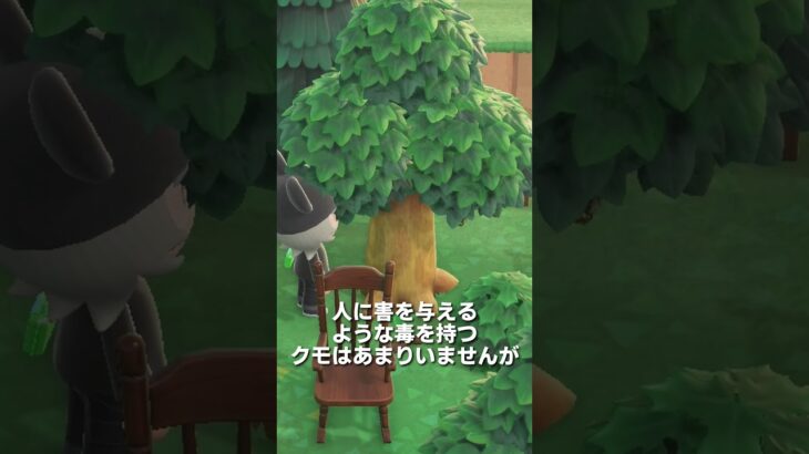 【あつ森】ムシ図鑑│クモ🕷