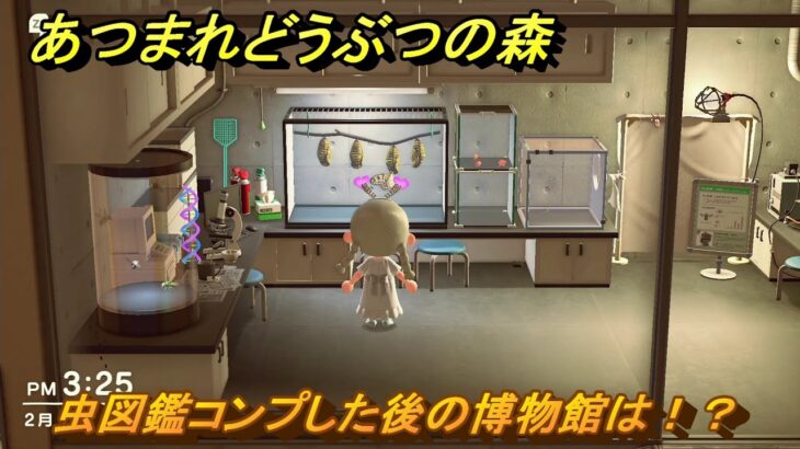 あつまれどうぶつの森　虫図鑑コンプした後の博物館は！？　＃５２６　【あつ森】