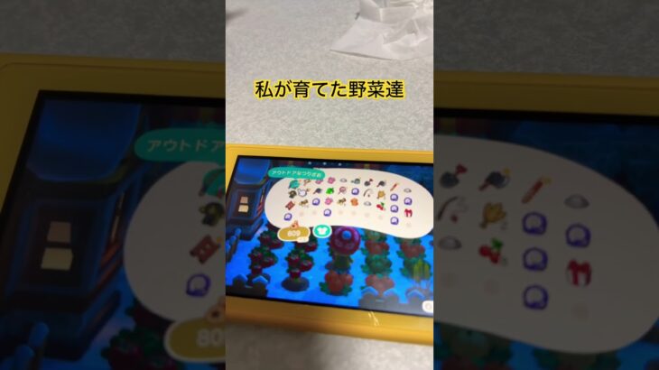 【あつ森】収穫しまくるぞ！#あつ森女子